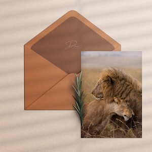Carte de voeux animalière imprimable 5 X 7 - amour de lions, câlin de lion et de lionne | Cadeau pour mariage, photographie animalière, safari africain, anniversaire Lion