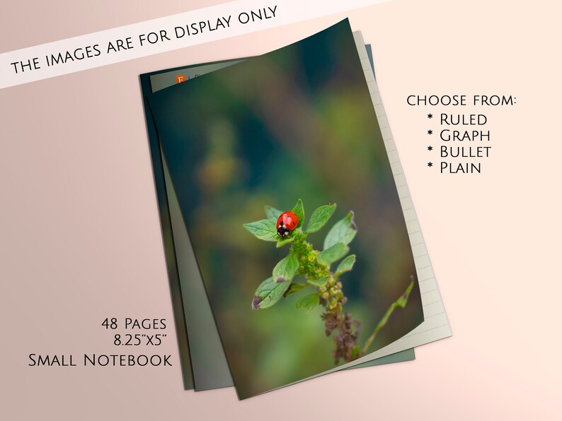May include: A small notebook with a ladybug on a green leaf on the cover. The notebook has 48 pages and measures 8.25 inches by 5 inches. The notebook is available in ruled, graph, bullet, and plain styles.