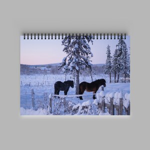 May include: Two horses stand in a snowy field, one black and one brown, with a snow-covered fence and trees in the background.