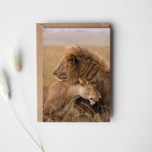 l'amour du lion - Lion et lionne carte de vœux | Pour anniversaire ou mariage, photo animalière, safari africain, anniversaire du signe astrologique du zodiaque Lion