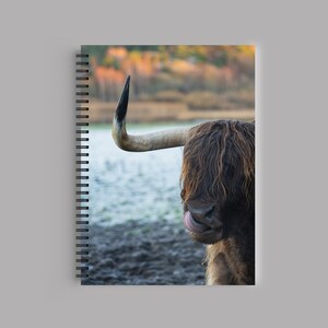May include: A close-up of a Highland cow with long, shaggy brown fur. The cow has a long, white horn with a black tip. The cow is standing in a field with water in the background.