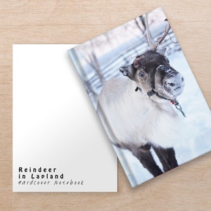 May include: A hardcover notebook with a reindeer in a snowy landscape on the cover. The text on the cover reads "Reindeer in Lapland #hardcover notebook".