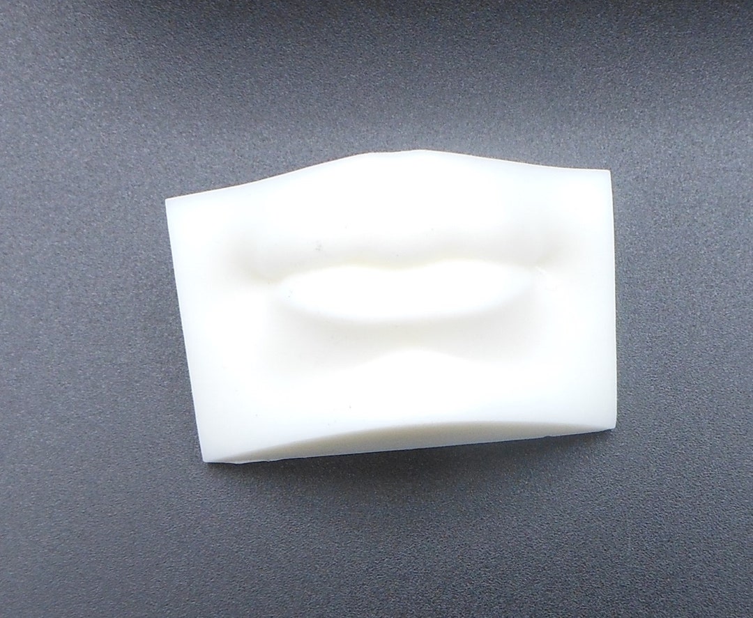 3D Printed Lips Shelf 148 Scale DIY KIT Etsy