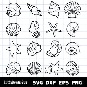May include: A set of 15 black and white line drawings of seashells, starfish, and a seahorse. The images are on a white background with a light blue grid.