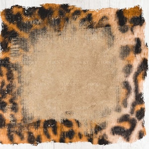Leopard Frame PNG, Leopard sublimation, digital download, sublimation designs, Png File For Shirt, clipart, png