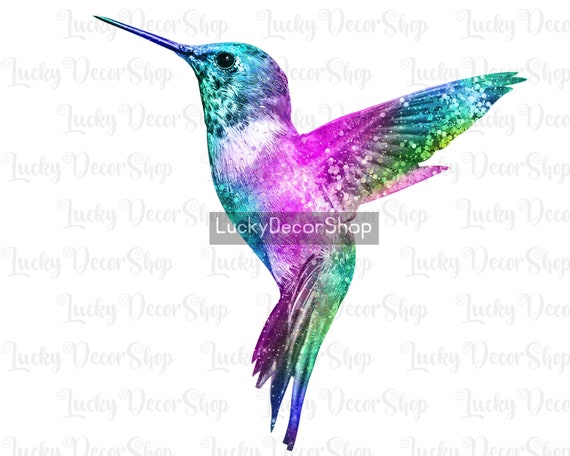 Shine Hummingbird PNG: Colorful Bird T-Shirt Design (Digital Download)