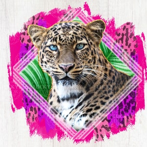 May include: A close-up of a leopard's face with blue eyes. The leopard is framed in a gold and white diamond-shaped frame with pink and green accents.