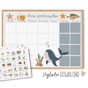 Programação semanal de animais marinhos para crianças imprimirem, download digital de cartões de rotina Montessori