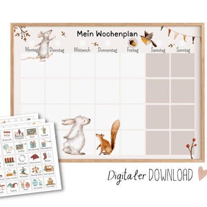 Plano florestal semanal para as crianças imprimirem, download digital dos cartões de rotina Montessori