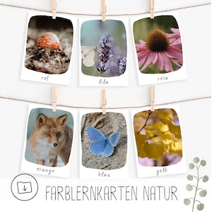 Farblernkarten Natur mit echten Fotos für Kinder zum Ausdrucken, , 11 Montessori Karten zum Download, Farbsortierung Kita, Vorschule