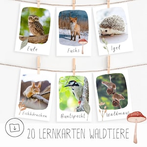 20 Lernkarten Waldtiere zum Ausdrucken pdf, Montessori Lernkarten Kindergarten, Flashcards Vorschule und Grundschule, download