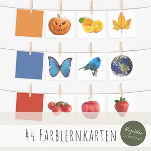Farblernkarten mit echten Fotos für Kinder zum Ausdrucken, , 44 Montessori Karten zum Download, Farbsortierung Kita, Vorschule