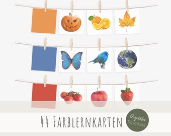 May include: A set of 44 color learning cards featuring various images, including a pumpkin, a butterfly, a bird, a globe, tomatoes, an apple, and a strawberry. The cards are hung on a clothesline with clothespins.