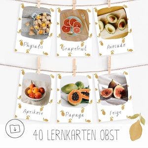 40 flashcards "Fruta" para imprimir pdf, flashcards Montessori jardim de infância, flashcards pré-escola e ensino fundamental, baixar