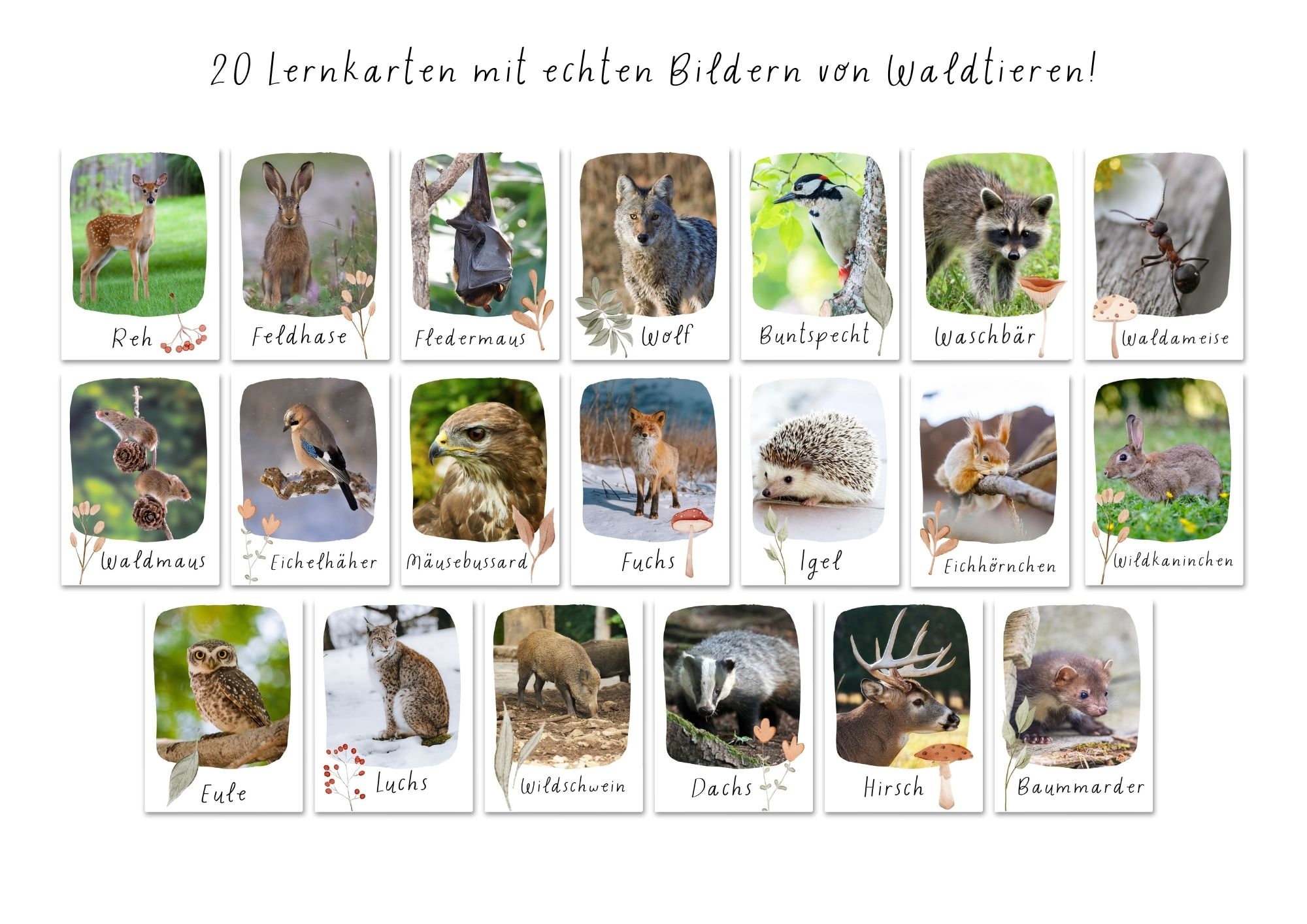 20 Lernkarten Waldtiere zum Ausdrucken pdf, Montessori Lernkarten