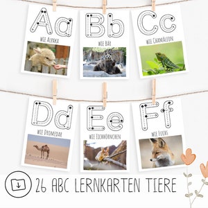 Tarjetas de aprendizaje del alfabeto animales para imprimir pdf, primera escritura, calco, calco, tarjetas de letras Montessori, flashcards imágenes reales