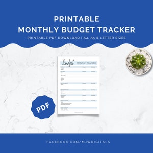 Printable Planner, Monthly Budget, Budget Tracker, Printable Planner Page, Planner Insert, Finance Planner, Budget Planner, Budget Template