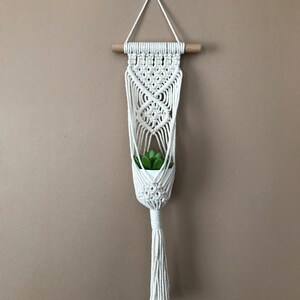 Peut inclure: Un porte-plante en macramé blanc avec une baguette en bois et une petite plante verte dans un pot blanc. Le porte-plante a un long pompon.