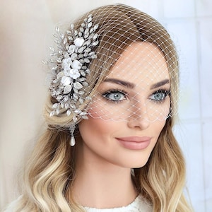 Birdcage Veil, Wedding Bird Cage Veil, Crystal Pearl Bridal Comb, Wedding Headpiece, White Ivory Pink Veil, Veil for Modern Bride