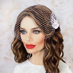 Birdcage Veil with Bridal Crystal Hair Comb, Bridal Hair Piece, Wedding Veil, Short Blusher Veil, Small Veil, Accessories for Modern Bride