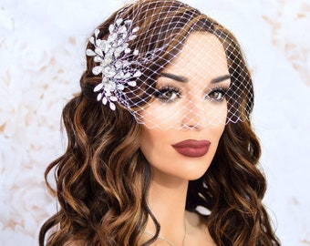 Birdcage Veil, Wedding Bird Cage Veil, Crystal Bridal Comb, Wedding Headpiece, White or Ivory Veil, Veil for Modern Bride