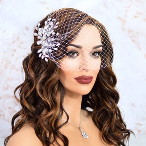 birdcage veil