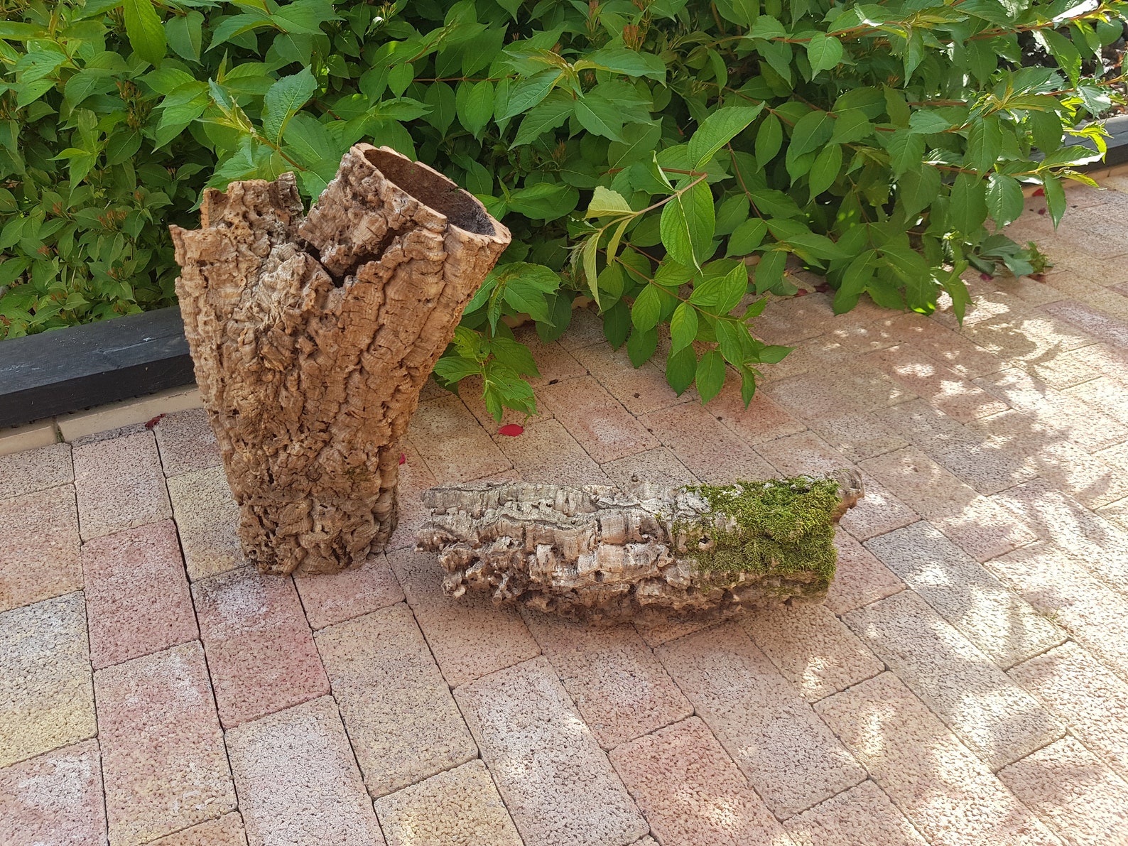 Natural cork oak bark Natural dried decor terrarium decor Etsy