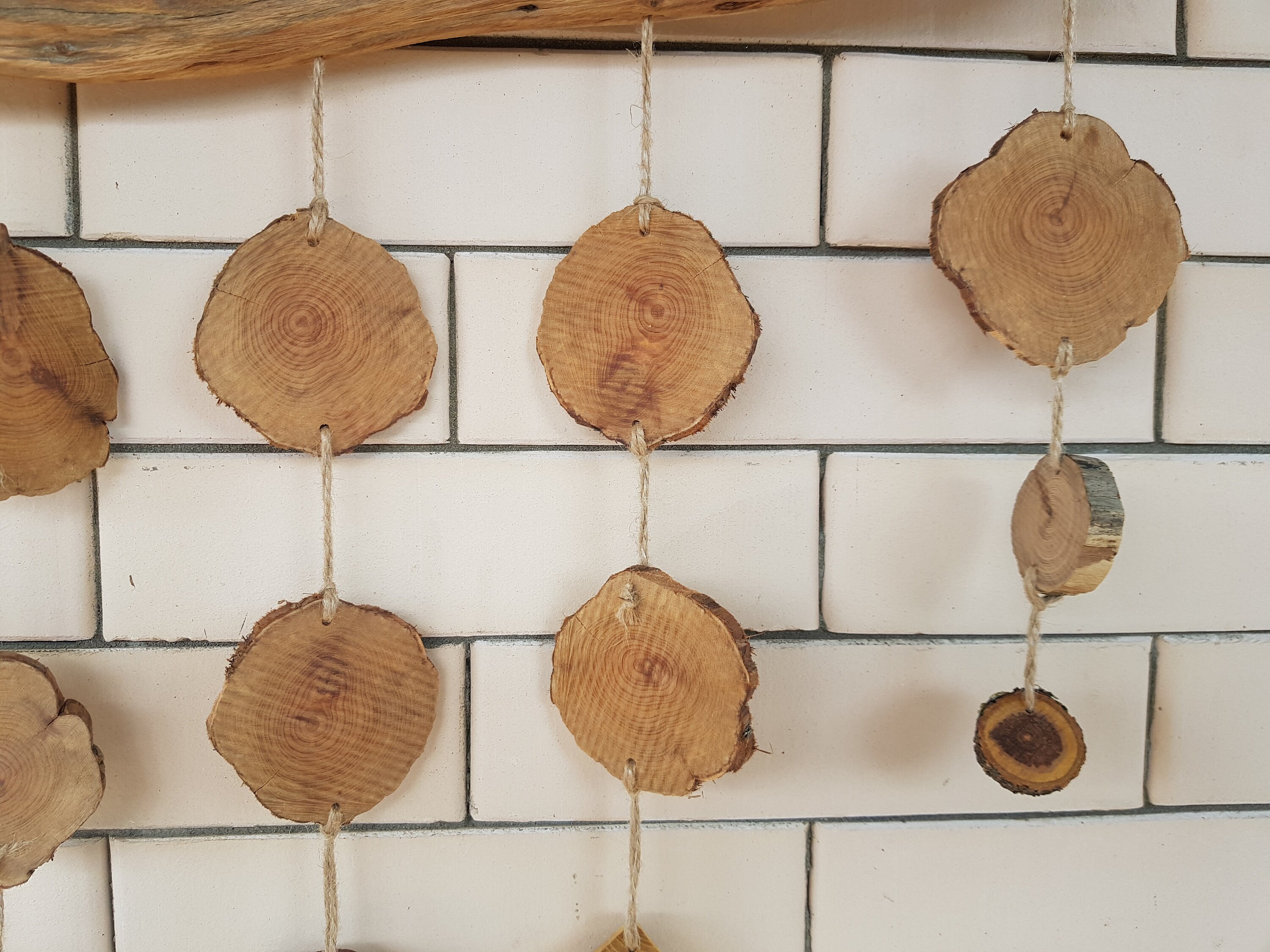 Juniper wood juniper wood slices Wood slices wall art Etsy