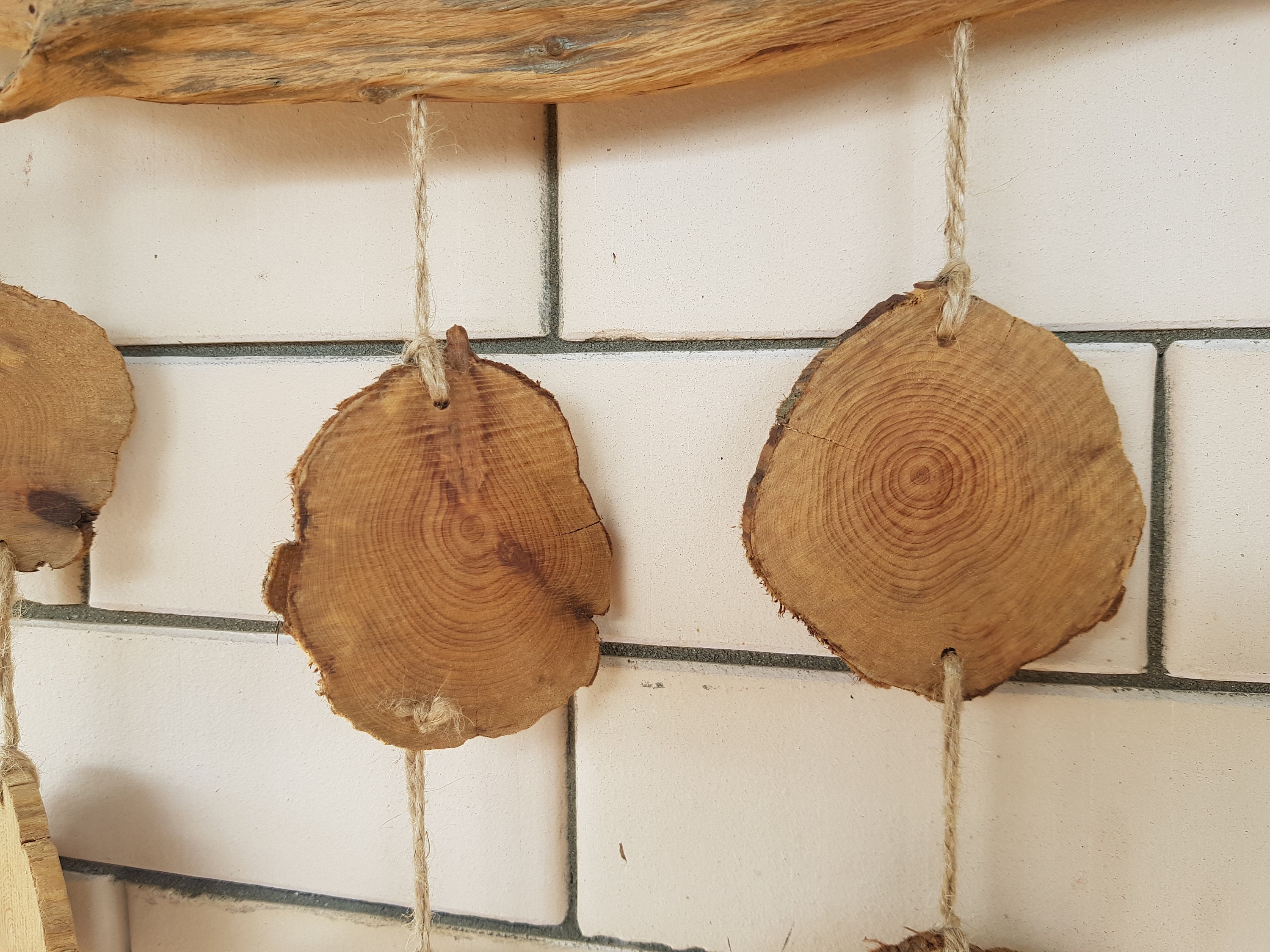 Juniper wood juniper wood slices Wood slices wall art Etsy