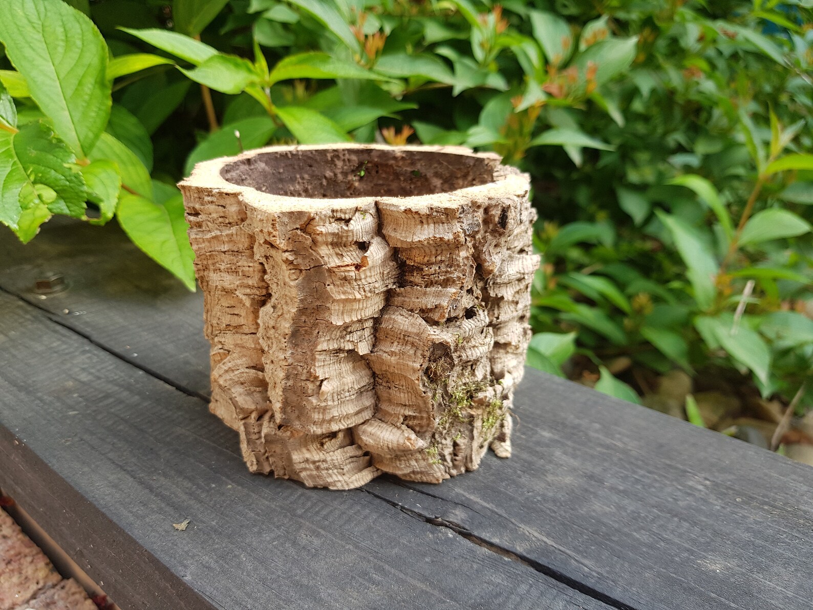 Set of 4 pots. Natural cork bark unique Cork bark Flower Etsy