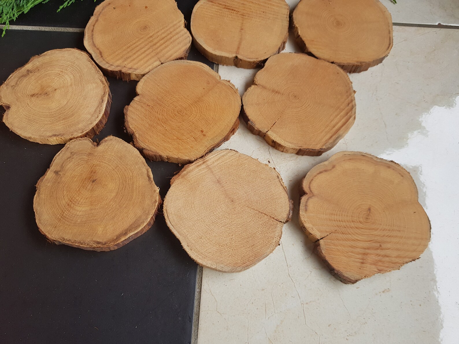 9х Juniper Wood Slice Juniper Scent Slices wood for crafts Etsy