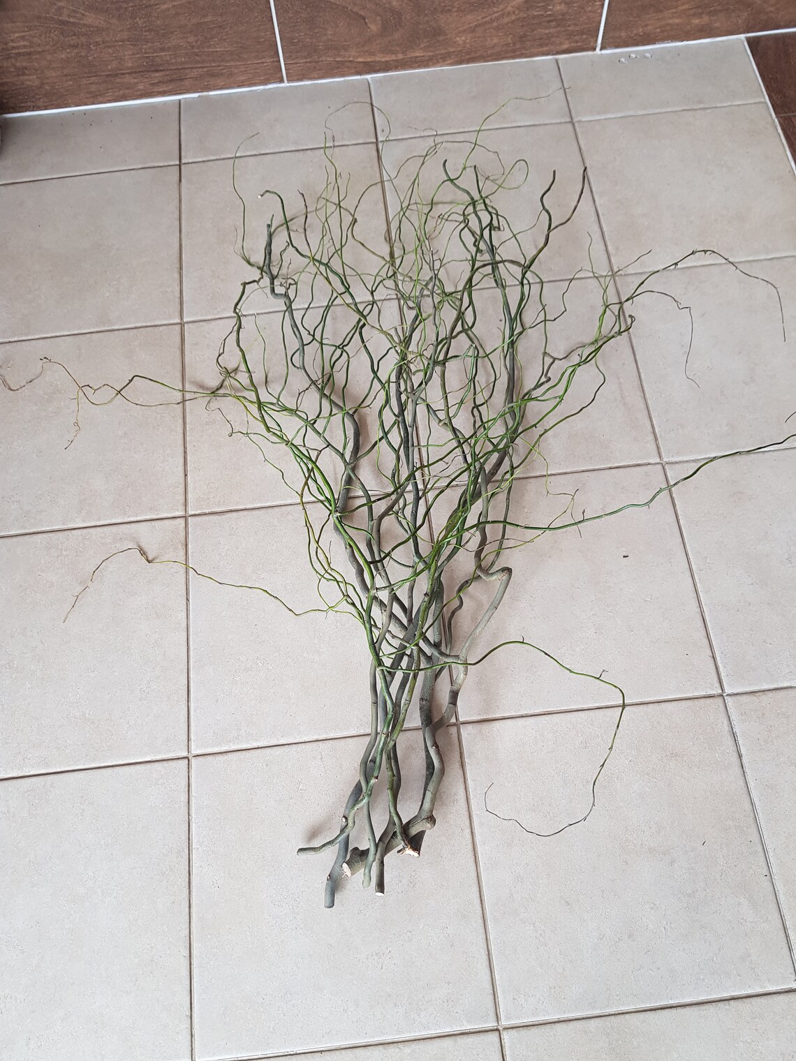 Curly Willow Branches twigs twisted twigs sticks twisted Etsy