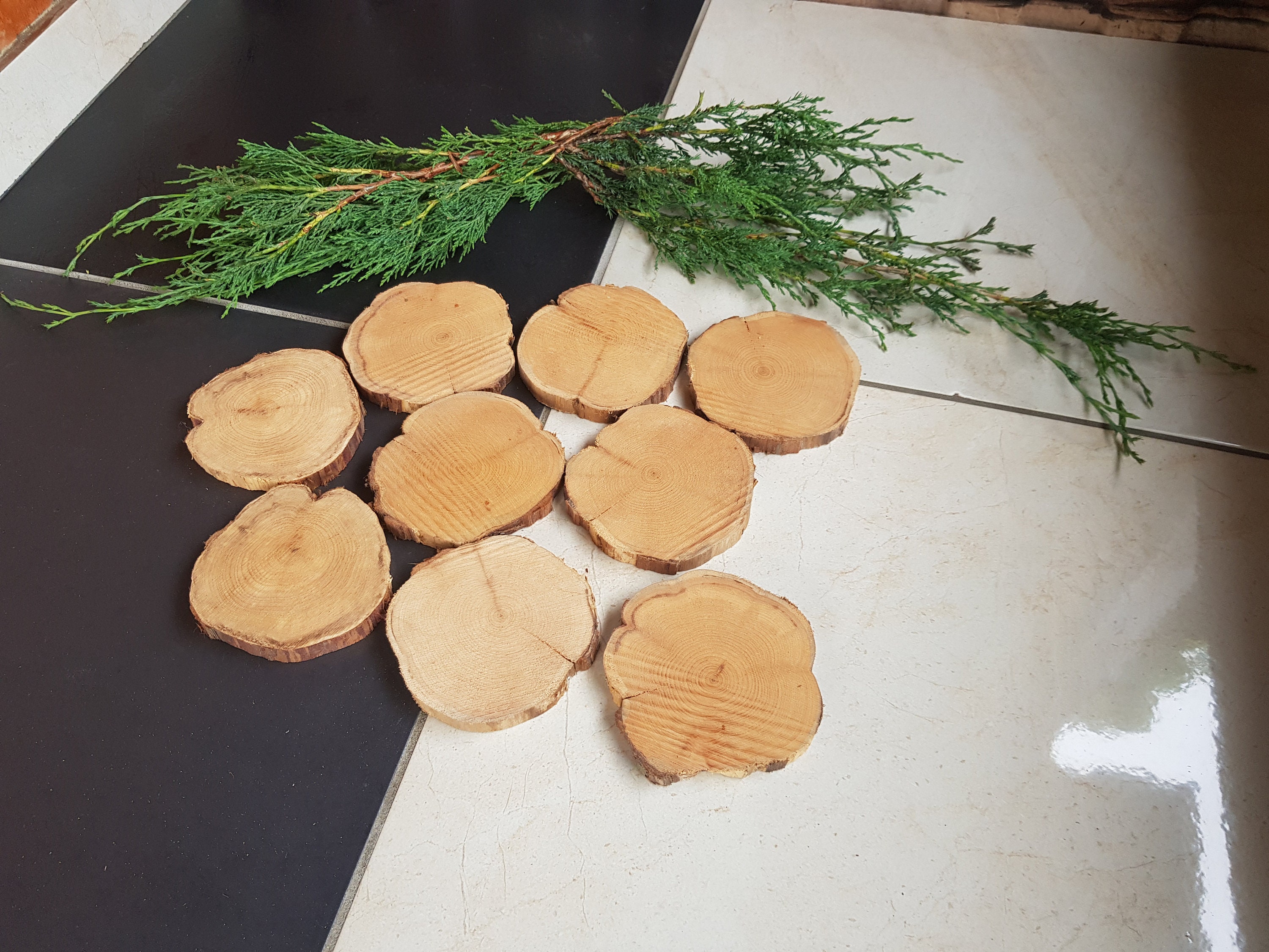 9х Juniper Wood Slice Juniper Scent Slices wood for crafts Etsy