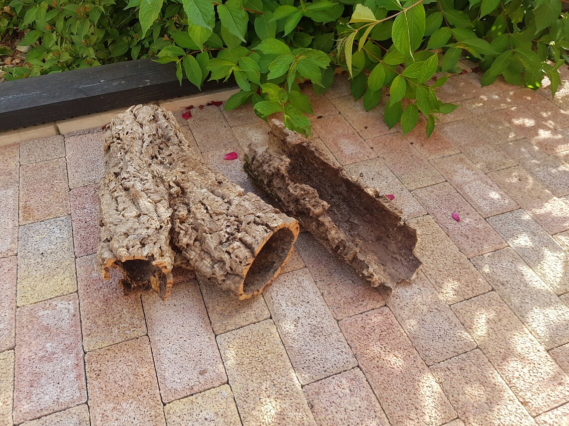 Natural cork oak bark Natural dried decor terrarium decor Etsy