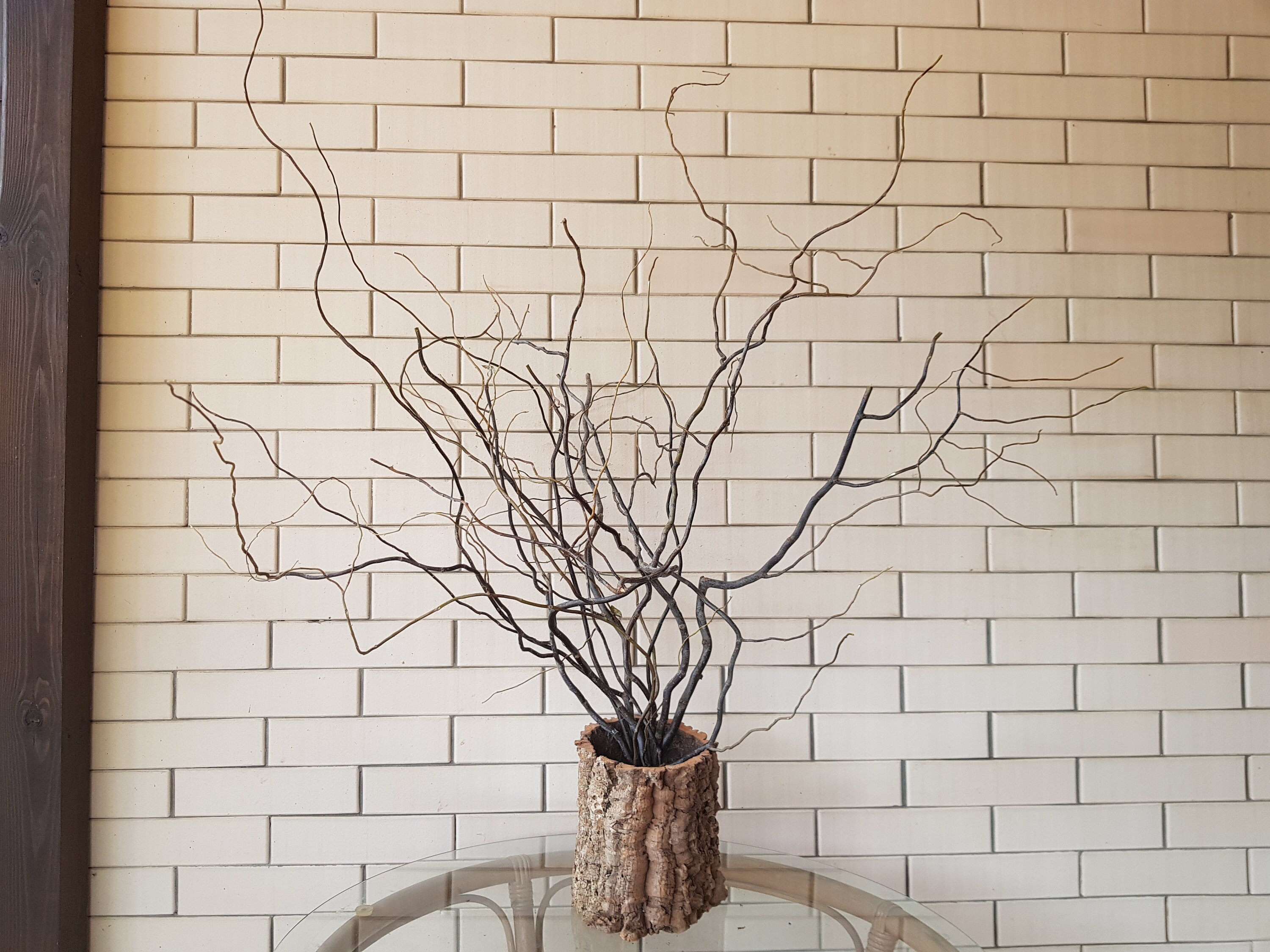 Curly Willow Branches twigs twisted twigs sticks twisted Etsy