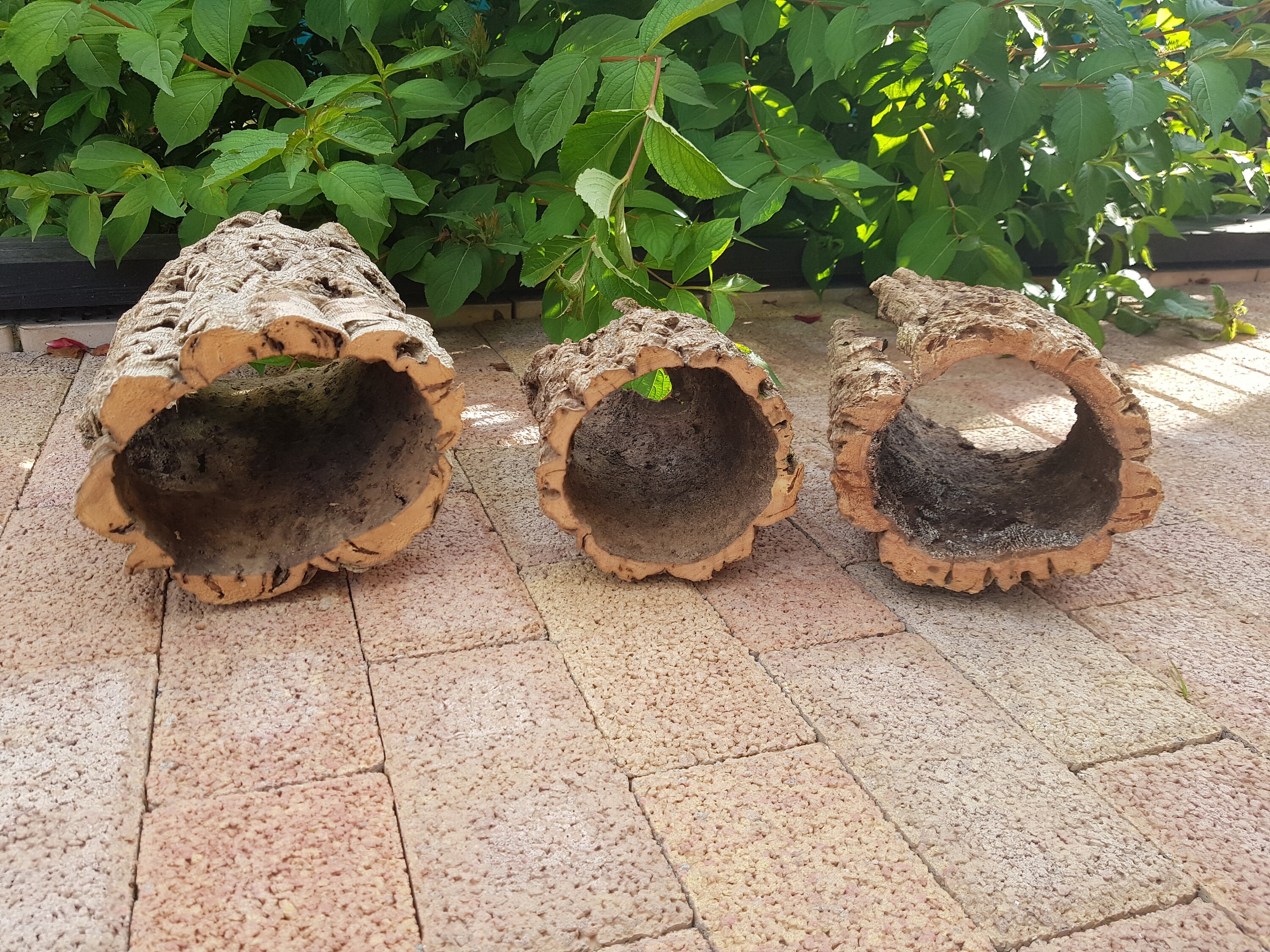 3 tubes of 100 natural cork oak bark Etsy