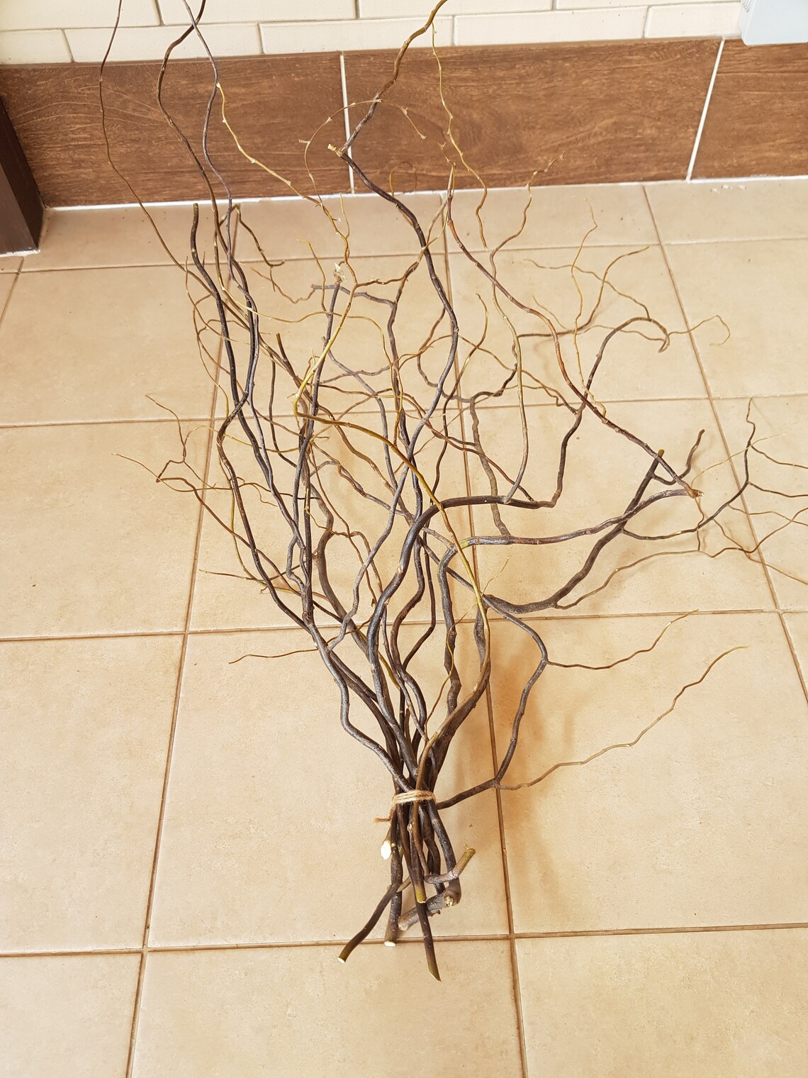Curly Willow Branches twigs twisted twigs sticks twisted Etsy