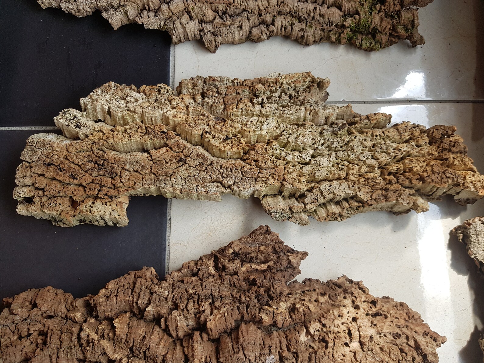 100 natural cork oak bark Natural dried decor terrarium Etsy