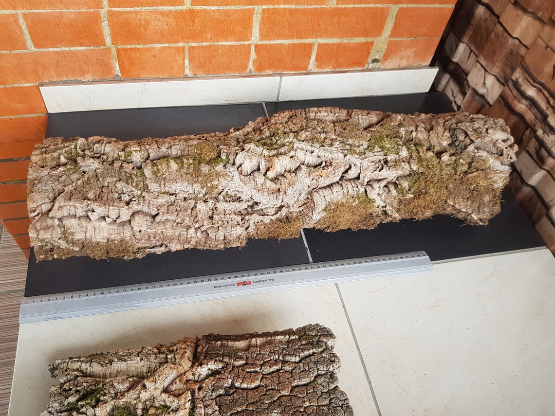 Natural cork oak bark Natural dried decor terrarium decor Etsy