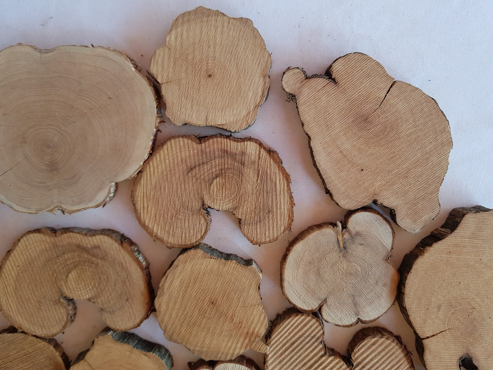 Juniper Wood Slice Juniper Scent Slices wood for crafts Etsy