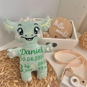 Può includere: Un giocattolo di peluche di drago verde con dettagli ricamati, tra cui il nome "Daniel", la data "30.04.2024", l'ora "09:25", il peso "3 kg, 500" e la lunghezza "53 cm".
