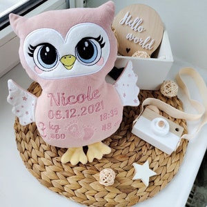 Op de afbeelding: Een roze uil knuffel met geborduurde details, waaronder de naam "Nicole" en geboorte-informatie. De uil heeft grote ogen en vleugels met sterrenpatroon. Een houten bord met "Hello world" staat op de achtergrond, samen met een speelgoedcamera en een ster.