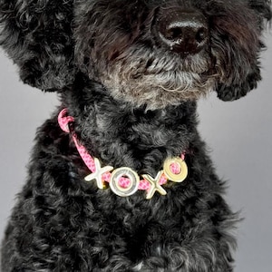 May include: A black dog with curly fur wearing a pink collar with gold and pink charms. The dog is sitting and looking forward. The background is a solid grey colour.