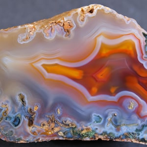 May include: A polished agate slice featuring concentric bands of translucent white, soft grey, vibrant orange, and deep red. The stone displays intricate, wavy patterns and crystalline inclusions with earthy brown and blue-toned mineral deposits.