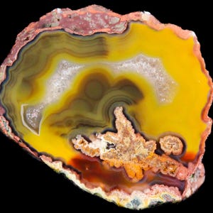 May include: A polished agate slice featuring concentric bands of vibrant yellow, deep amber, and earthy brown. The center contains a crystalline druzy formation with white, sparkling mineral deposits, surrounded by a rough, reddish-brown outer crust.