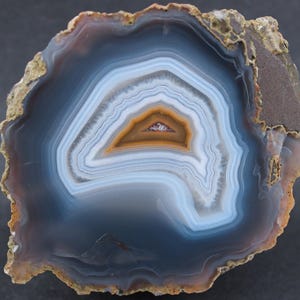 May include: A polished agate slice featuring concentric bands of blue, white, and grey, surrounding a central triangular core of warm amber and brown. The outer edge of the stone is rough, textured, and earthy, contrasting with the smooth interior.