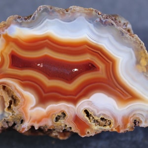 May include: A polished agate slice featuring concentric bands of deep red, burnt orange, and translucent white. The center displays a dark red core, while the outer edges show a rough, textured, and earthy brown mineral crust surrounding the stone.