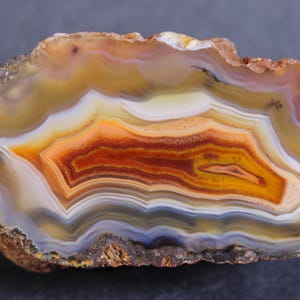 Puede incluir: Una rodaja de ágata pulida que presenta bandas concéntricas de color que incluyen naranja óxido intenso, amarillo dorado, blanco translúcido y gris suave. El borde exterior de la piedra permanece en su estado natural, rugoso y texturizado.