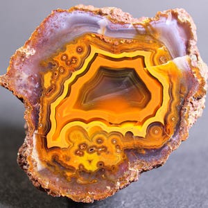 Peut inclure: Gros plan sur une tranche polie d'agate, révélant des motifs complexes. La pierre présente des bandes de couleurs orange, jaune, marron et violet. Le bord extérieur est rugueux et texturé. Le design naturel de l'agate est mis en valeur.