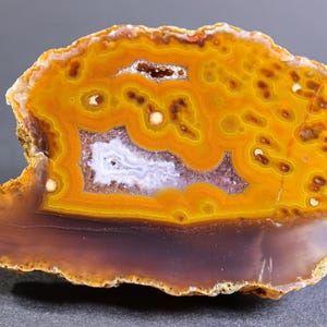 May include: A polished agate slice featuring concentric bands of vibrant orange, yellow, and deep brown hues. The centre contains a small, crystalline white druzy cavity, while the outer edges display a rough, natural, and textured mineral crust.